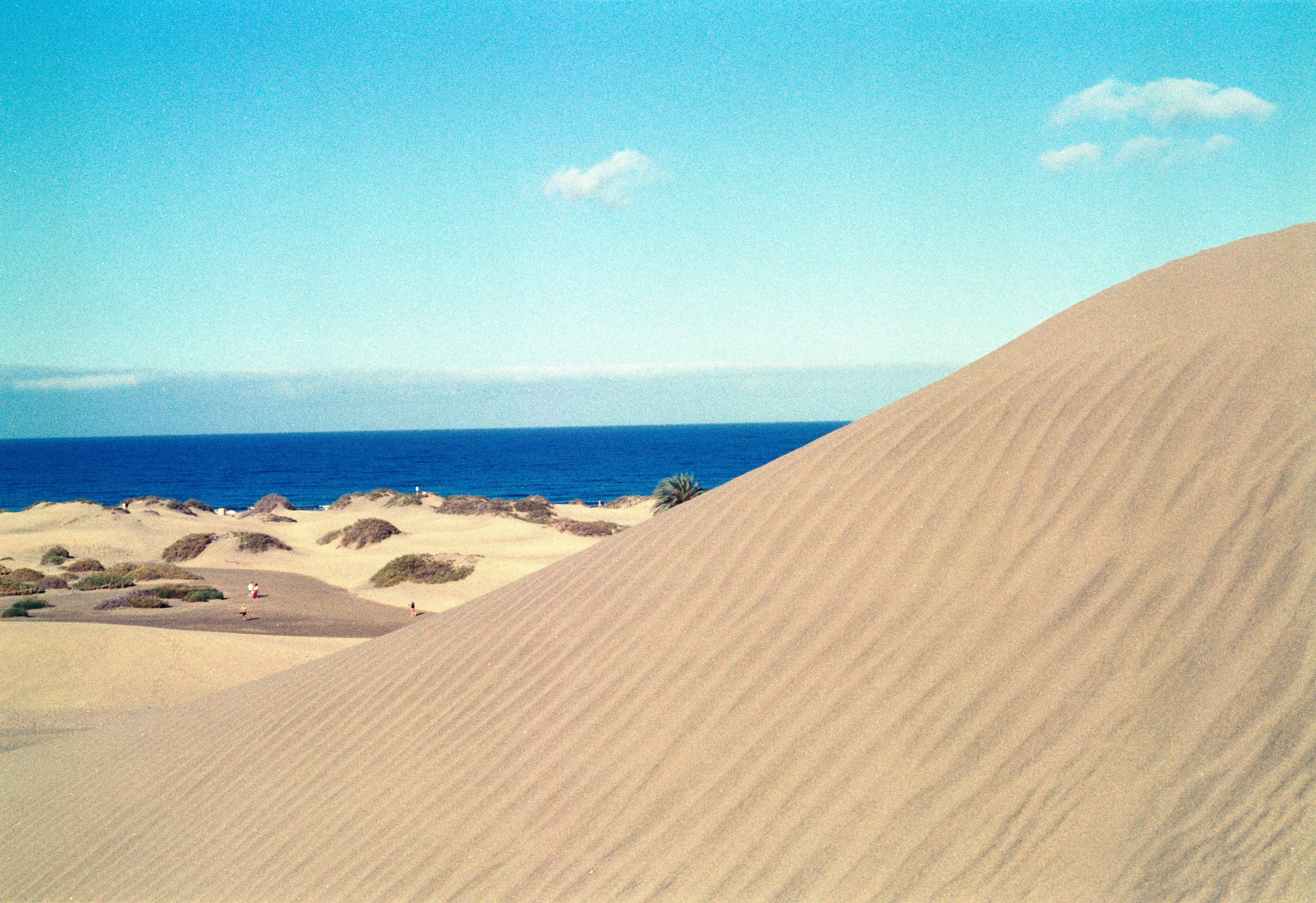 Cosa vedere alle Canarie. Guida completa alle isole dell'eterna primavera